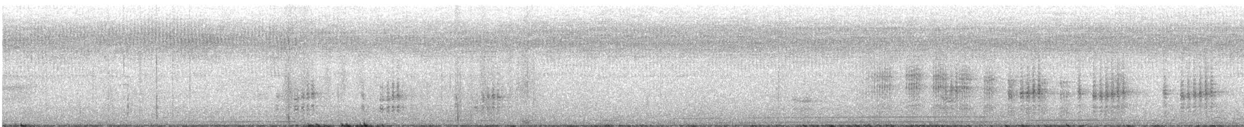 長尾水薙鳥 - ML647478704