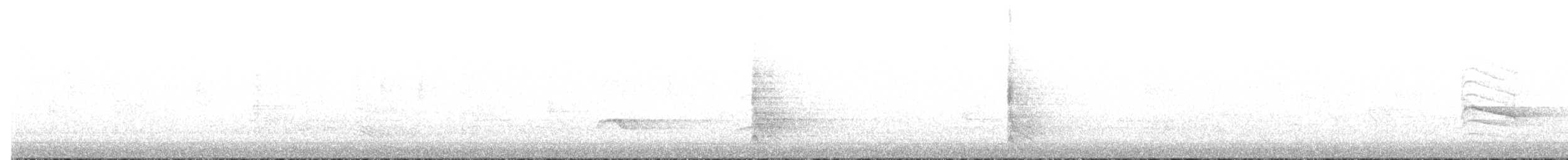 Red-bellied Woodpecker - ML647479052