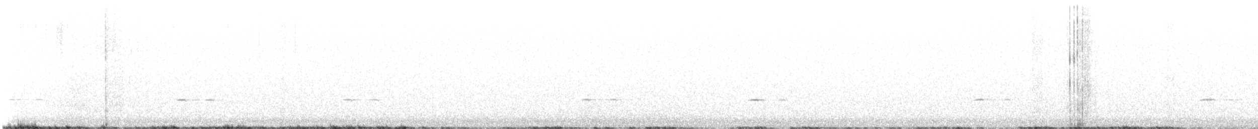 Townsend's Solitaire - ML647479092