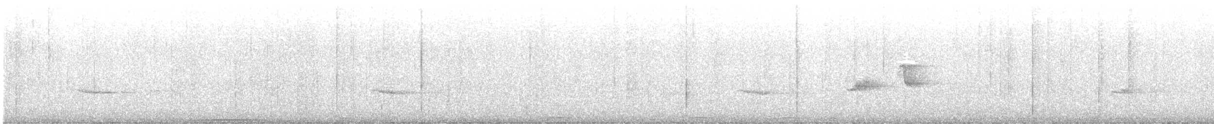 White-throated Ground Dove - ML647479239