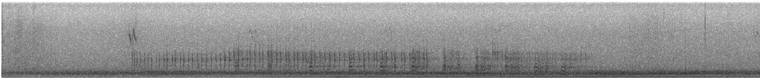 Belted Kingfisher - ML647479485