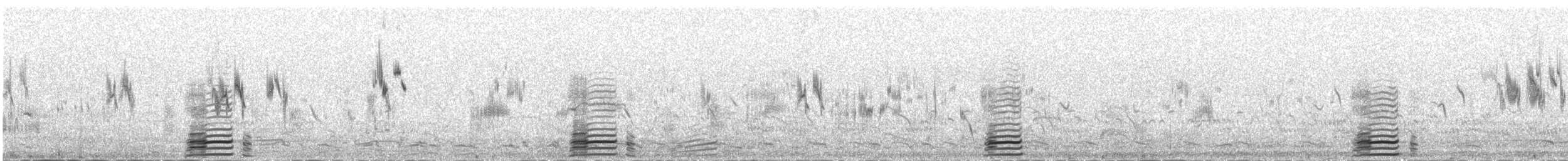 Ruddy Shelduck - ML647481055