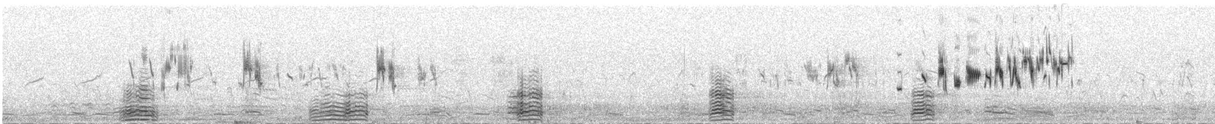 צחיחנית חרמון (מרכז אסיה) - ML647481449