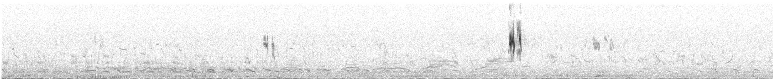 צחיחנית חרמון (מרכז אסיה) - ML647481455