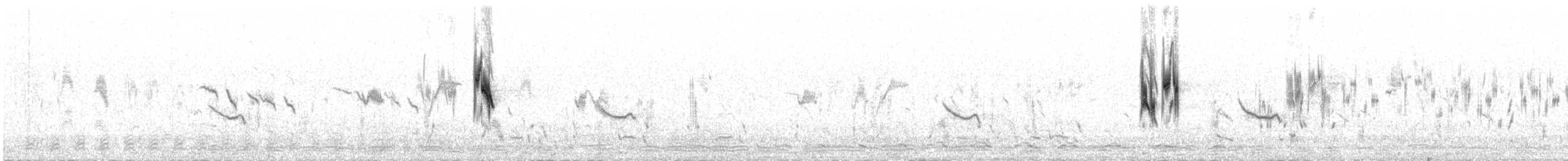 צחיחנית חרמון (מרכז אסיה) - ML647481461