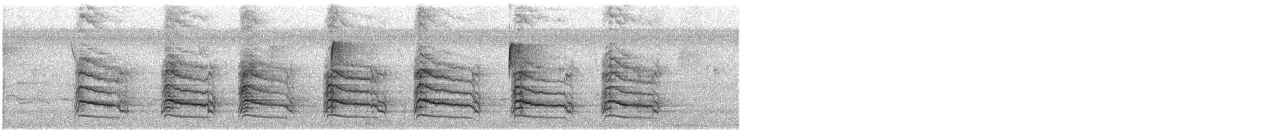 káně páskovaná - ML647481516