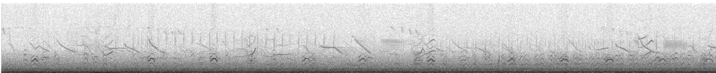 Red-gartered Coot - ML647482062