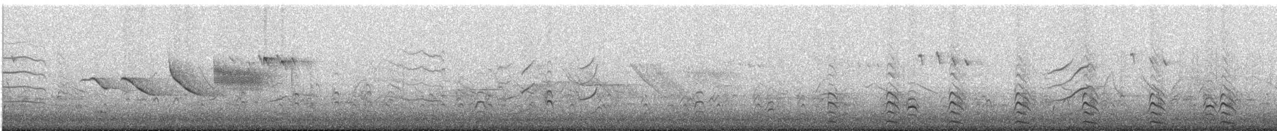 Red-gartered Coot - ML647482063