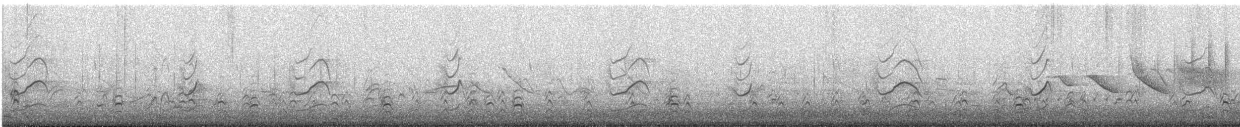 Red-gartered Coot - ML647482064