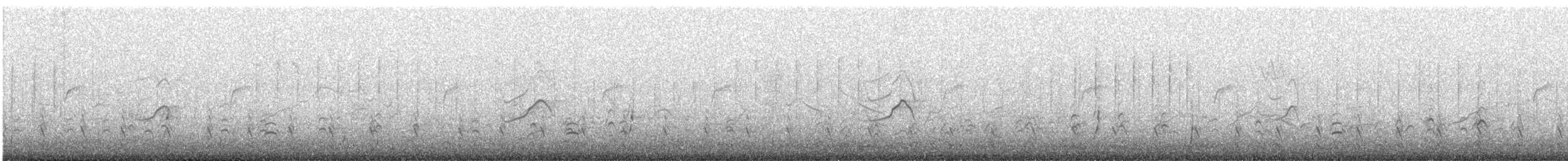 Red-gartered Coot - ML647482068