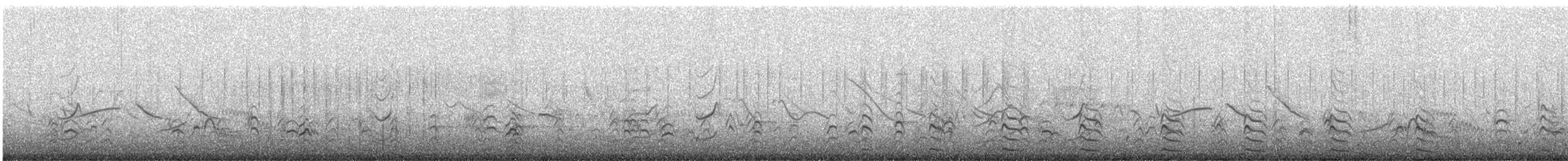 Red-fronted Coot - ML647482075