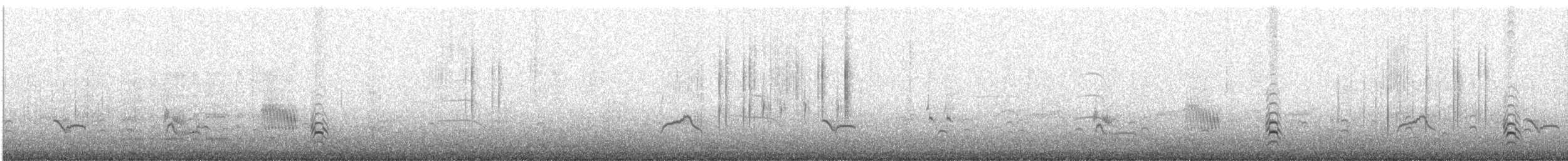 Wren-like Rushbird - ML647482135