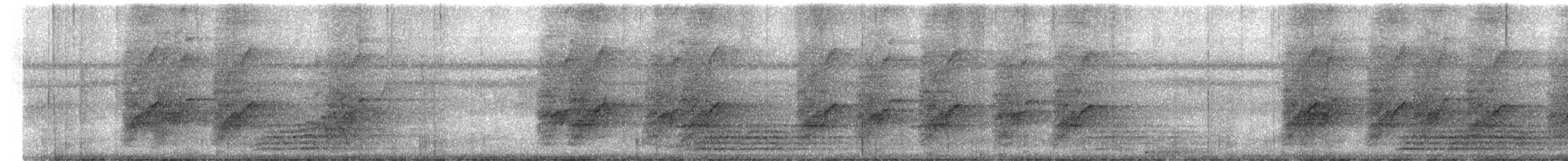 Loro Senil - ML647482695