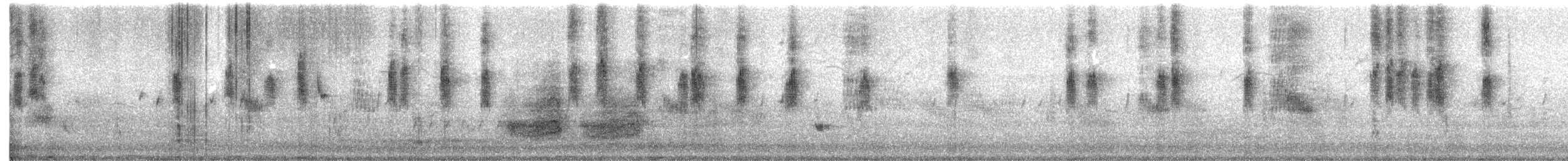 stumpnebb (brevirostris gr.) - ML647482942
