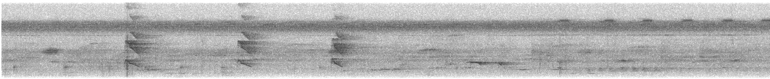 Barbican chauve - ML647483005