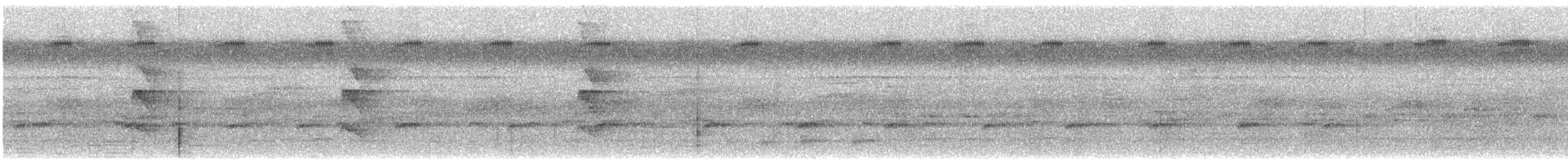 Barbican chauve - ML647483006