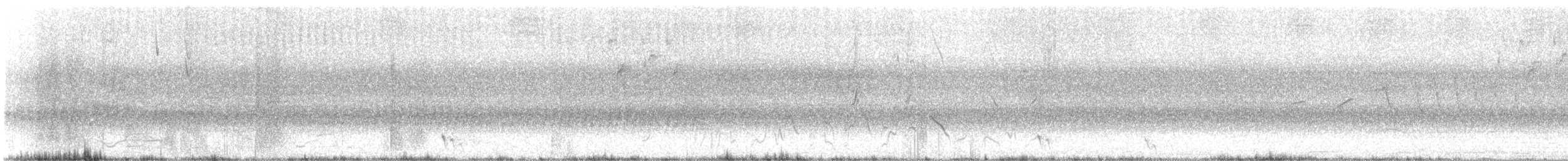 Crested Gallito - ML647483312