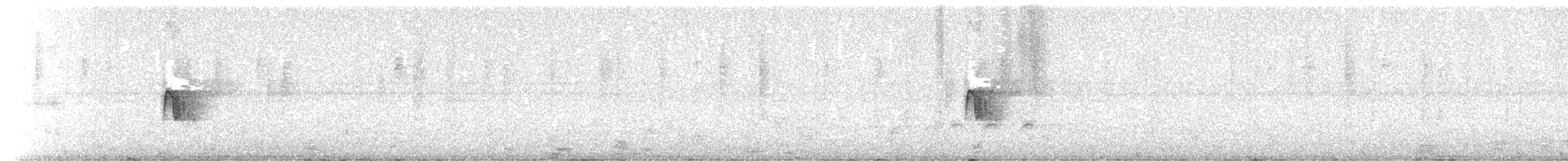 Yellow-bellied Flycatcher - ML647483405