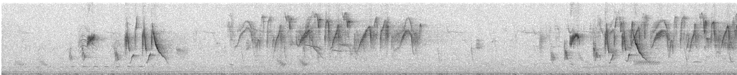 Свертушка маскова - ML647484452