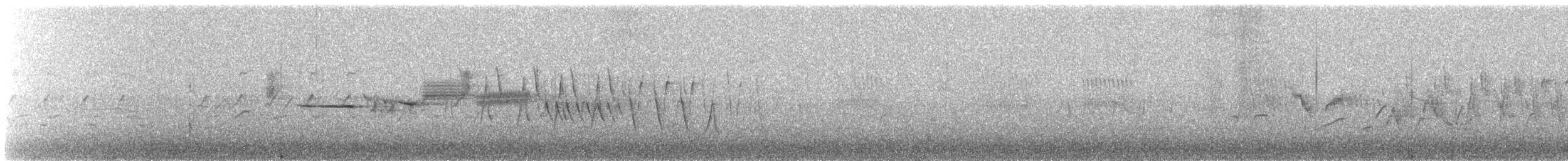 Бруант білобровий - ML647485077