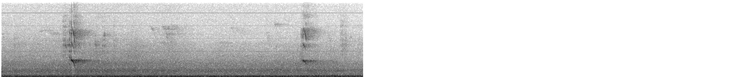 Декол плямистоволий - ML647485189