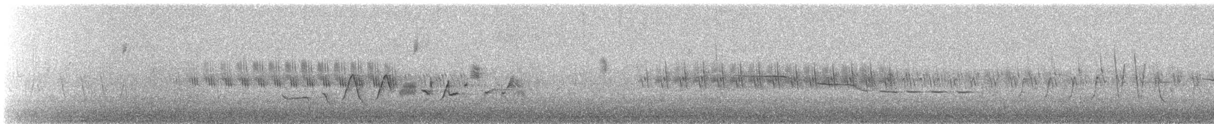 Пасовник рябогрудий - ML647485237