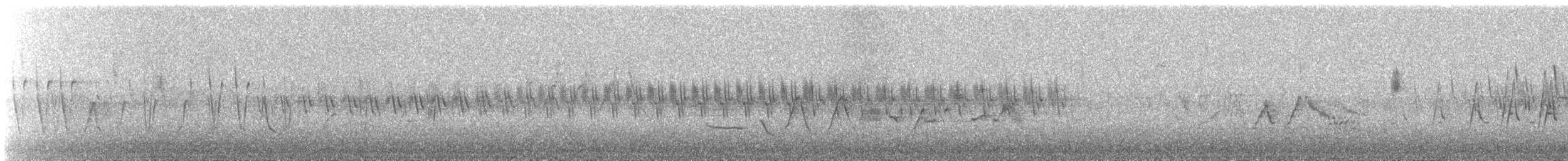 Вівчарик шелюговий - ML647485357