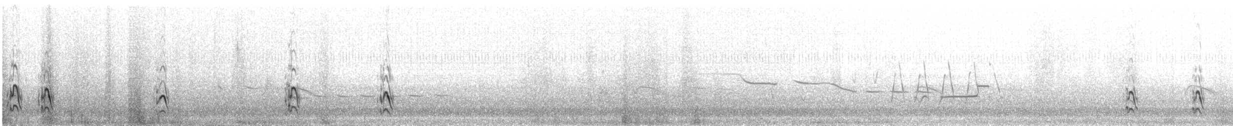 Long-tailed Jaeger - ML647486343