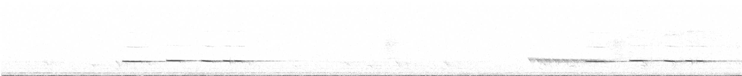 Таязура-клинохвіст мала - ML64748661