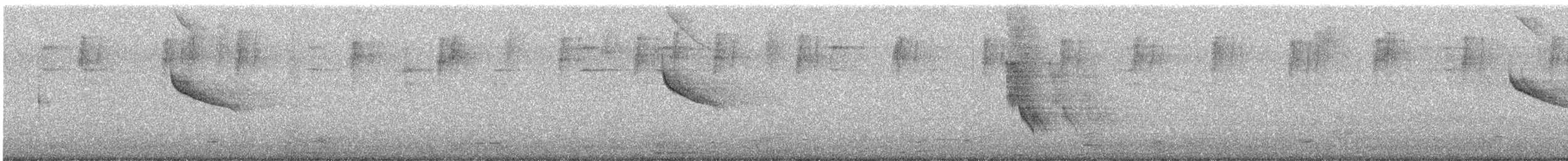 Scrub Blackbird - ML647487023