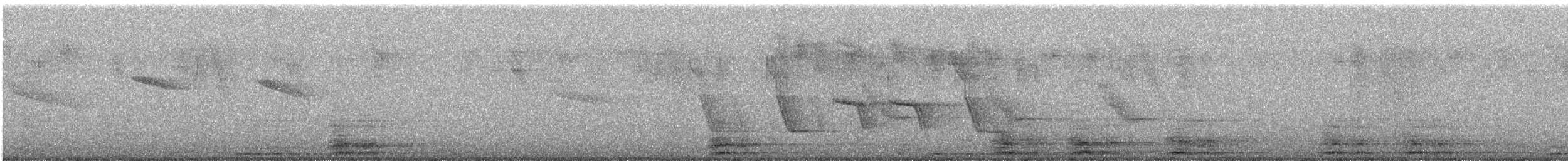 Amazilia Hummingbird - ML647487046