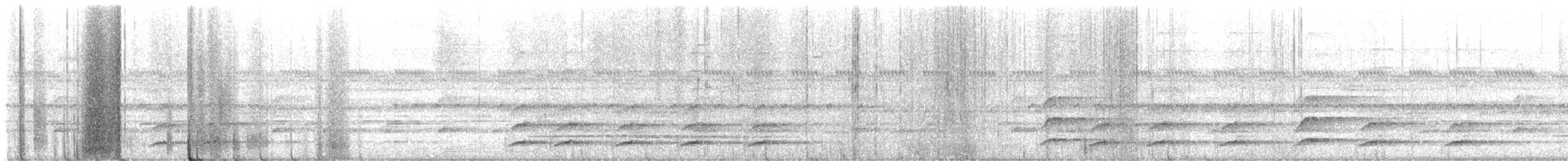 White-throated Toucan - ML647487208