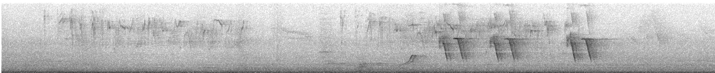 Bananaquit - ML647487335