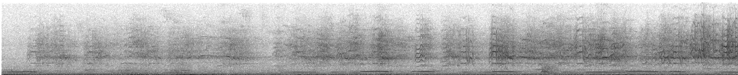 Mitred Parakeet - ML647487343