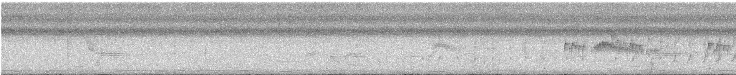 Tropical Kingbird - ML647487346