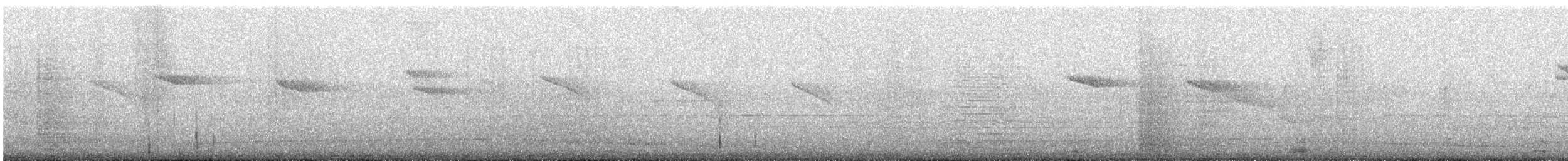 Amazilia Hummingbird - ML647487348