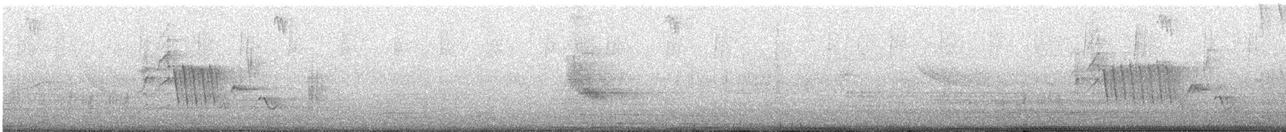 Southern House Wren - ML647487357