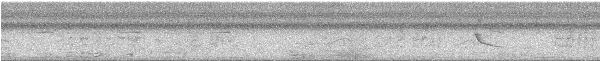 Rose-throated Becard - ML647487416