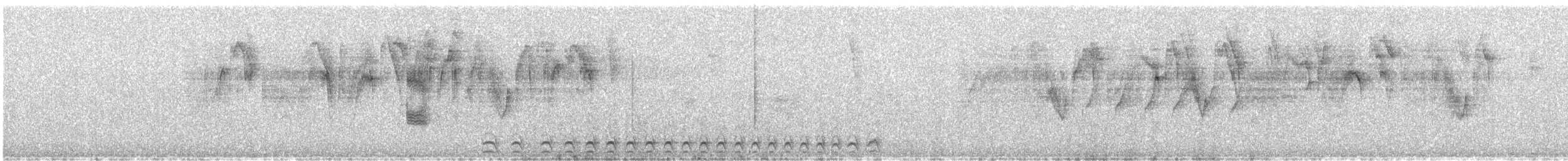 Collared Antshrike - ML647487447