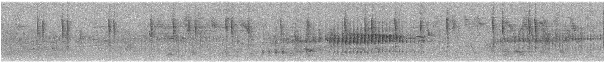 Superciliated Wren - ML647487466