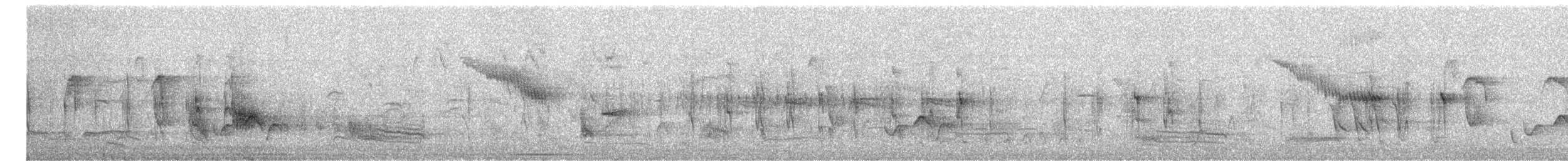 bird sp. - ML647487482