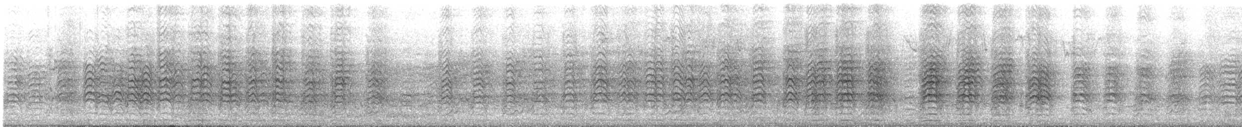 Mitred Parakeet - ML647487607