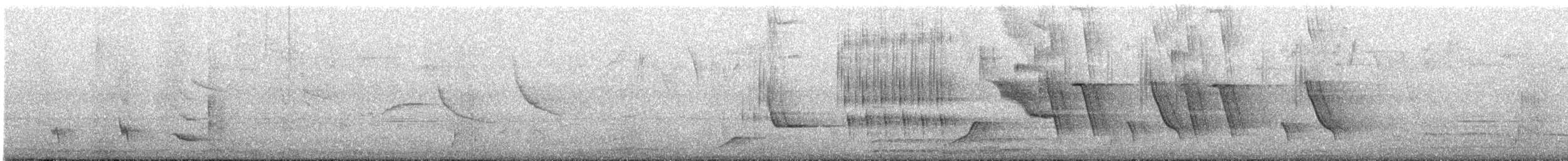 Long-tailed Mockingbird - ML647487619