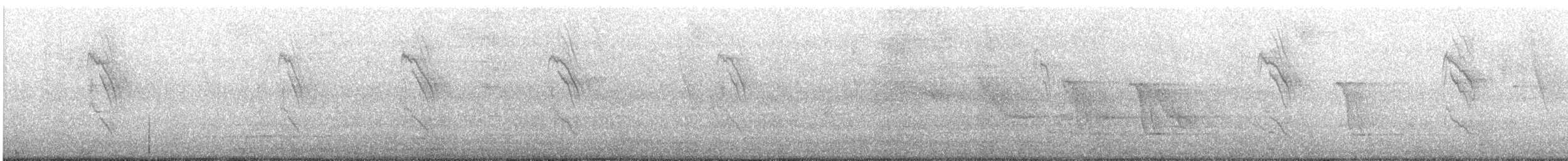 Long-tailed Mockingbird - ML647487630