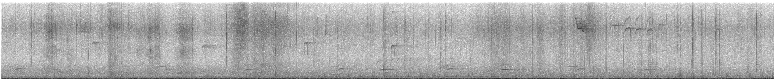 bird sp. - ML647487910