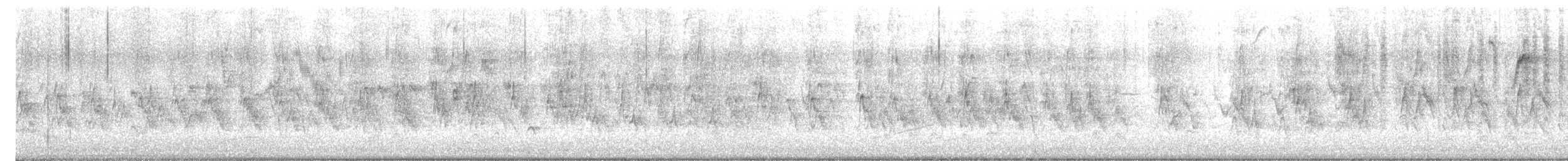 Gorrión Común - ML647488129