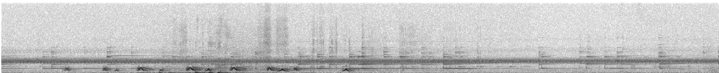 Cárabo Café - ML647488196