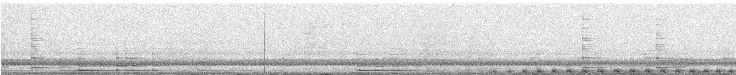 Cárabo Café - ML647488199