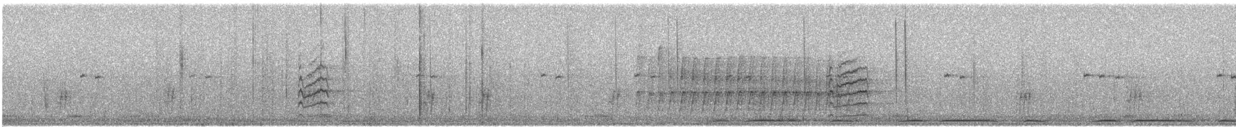 Jilguero de Lawrence - ML647488413