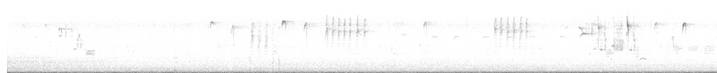 Mésange à tête noire - ML647488596